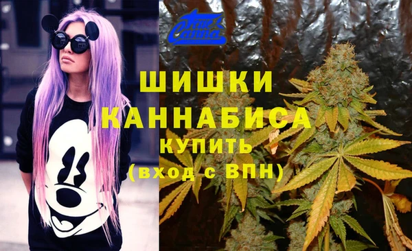 таблы Богородицк