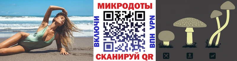Галлюциногенные грибы Psilocybe  Железноводск 
